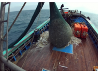 연근해 전자어획보고 시스템 구축 및 조업 모니터링 표준장치 개발