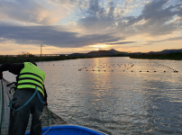 내수면어업 혼획저감 기술개발